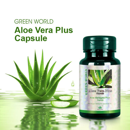 Aloe Vera Plus Capsule – Détox, Antioxydant & Immunité (60 capsules)